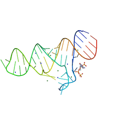 BU of 6tfg by Molmil