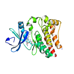 BU of 6tfp by Molmil