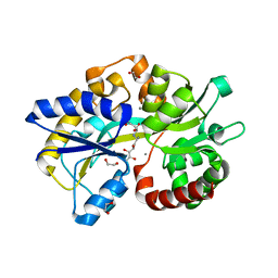 BU of 6tg2 by Molmil