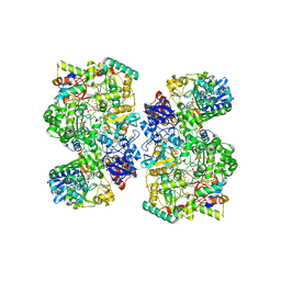 BU of 6tga by Molmil