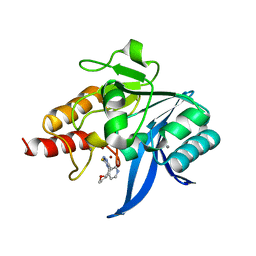 BU of 6tgd by Molmil