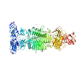 BU of 6tgf by Molmil