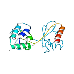 BU of 6tgk by Molmil