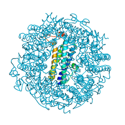 BU of 6tgt by Molmil