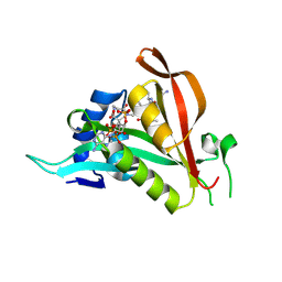 BU of 6tgx by Molmil