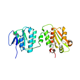 BU of 6tj0 by Molmil