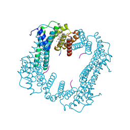 BU of 6tjm by Molmil