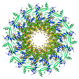 BU of 6tjp by Molmil