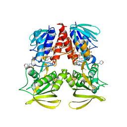 BU of 6tjr by Molmil