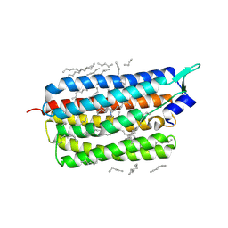 BU of 6tk3 by Molmil