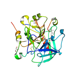 BU of 6tkl by Molmil