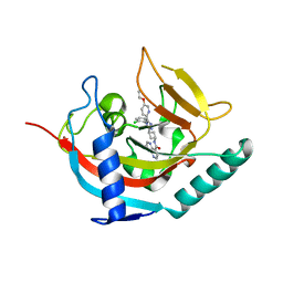 BU of 6tkp by Molmil