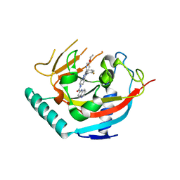 BU of 6tkr by Molmil