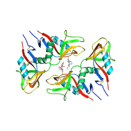 BU of 6tl9 by Molmil