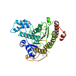 BU of 6tld by Molmil