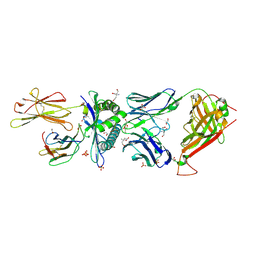 BU of 6tmo by Molmil