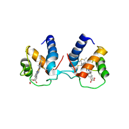 BU of 6tp9 by Molmil