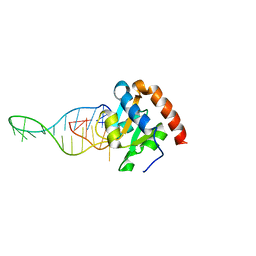 BU of 6tph by Molmil