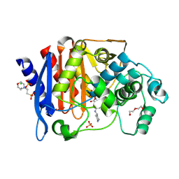 BU of 6tpm by Molmil