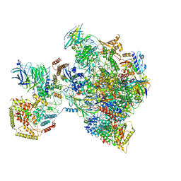 BU of 6tps by Molmil