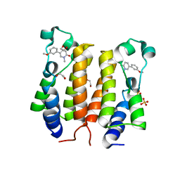 BU of 6tq1 by Molmil