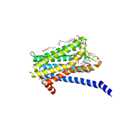 BU of 6tq6 by Molmil