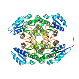 BU of 6tq8 by Molmil