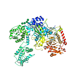 BU of 6trf by Molmil