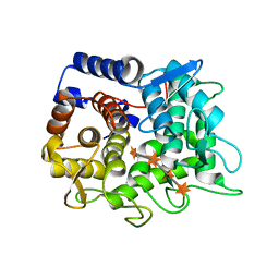 BU of 6trh by Molmil