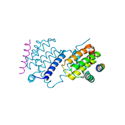 BU of 6trr by Molmil