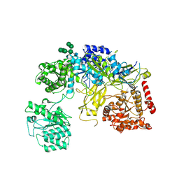 BU of 6trt by Molmil