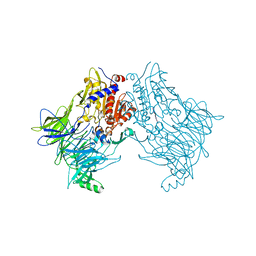 BU of 6trw by Molmil