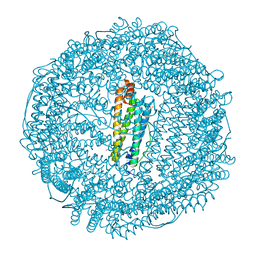 BU of 6tsa by Molmil