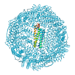 BU of 6tss by Molmil