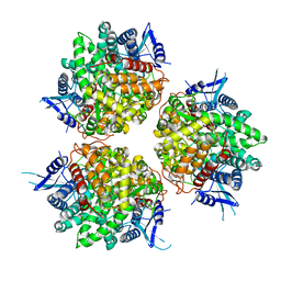 BU of 6ttj by Molmil