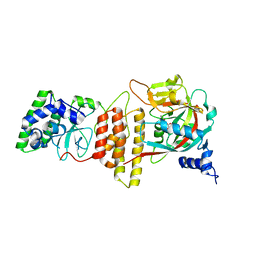 BU of 6tx3 by Molmil