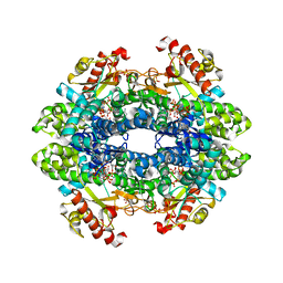 BU of 6txc by Molmil