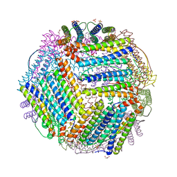 BU of 6txh by Molmil