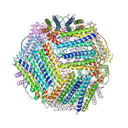 BU of 6txj by Molmil