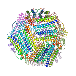 BU of 6txk by Molmil