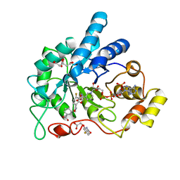 BU of 6txp by Molmil