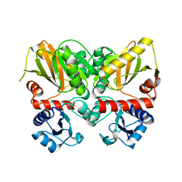 BU of 6u1c by Molmil