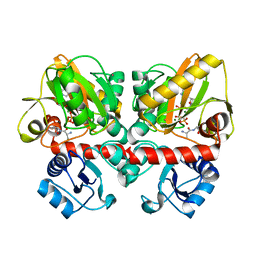 BU of 6u1f by Molmil