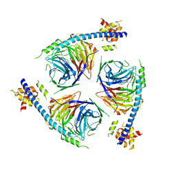 BU of 6u4y by Molmil