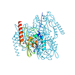 BU of 6ua1 by Molmil