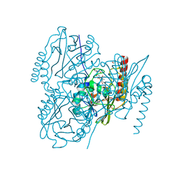 BU of 6uac by Molmil