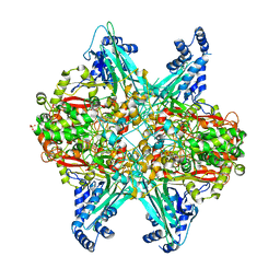 BU of 6ubr by Molmil