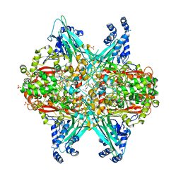 BU of 6uc1 by Molmil