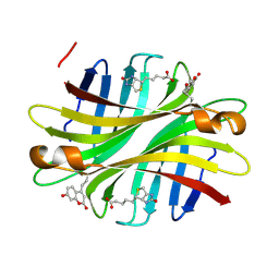 BU of 6uc3 by Molmil