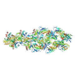 BU of 6uc4 by Molmil